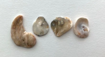 ❤️ Natural Letter Shaped LOVE beach oyster shell fragment word pebble art craft