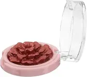 SOESFOUFU Contour Highlighting Powder Highlighter Powder Palette Metallic Glow Highlighter Illuminating Highlighter Powder High Gloss Face Powder Face Glow Highlighter Plastic Rose Gold
