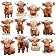 Highland Cow Cupcake Toppers Highland Cow Birthday Party Decorations 48PCS Cow Cupcake Picks Cow Birthday Cake Decorations Highland Cattle Cake Pick for Girls Cow Baby Shower Supplies