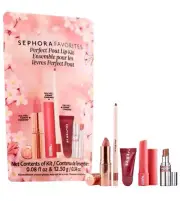 Sephora Favorites Perfect Pout 5pc Lip Kit 2025 Ltd Ed Set SEALED