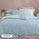 【Tonia Nicole 東妮寢飾】清新黛西100%精梳棉兩用被床包組(加大)