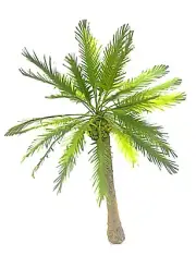 THANAN PALM TREE MODEL 1/72 SCALE APPROX 16CM. HEIGHT. TPS-030