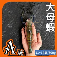 在飛比找蝦皮購物優惠-【黑豬泰國蝦】大母蝦1斤約11~14隻/活蝦鮮凍