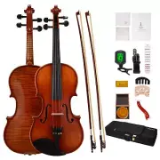 PHOENIX Violin 4/4 Full Size Set, Fiddle Solid Wood for professional Beginners A