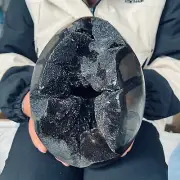 16.61LB Natural turtle back geode quartz crystal mineral specimen reiki he 7550g