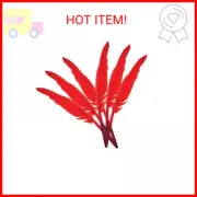 Touch of Nature Goose Pointer Feathers 10-12" Red 6pcs 1pkg