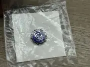Vintage Soaring Society Of America SSA Pin New