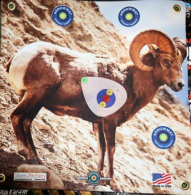 ARROWMAT -1500 PLUS SHOTS! BIG HORN SHEEP WITH SCORING ZONE! 17"X 17"