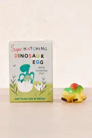 Hatch Your Own Dinosaur Egg--OUT-RX8HYODG
