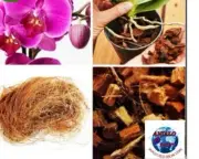 Coconut Husk Chips Orchids Anthurium Growing Dry Organic Media ceylonCoco.