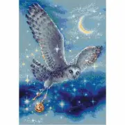 Cross-stitch kit Owl Magic 1872 Riolis