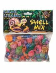 T-Rex Hermit Crab Accessory - Shell Mix Décor