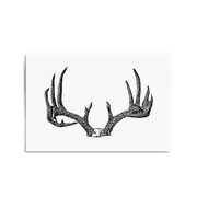 Deer Antlers Hunting Trophy Man Cave Wall Art