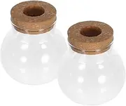 CAXUSD 2pcs Glass Hydroponic Vases for Small Plants Elegant Terrarium Containers Modern Design for Home and Office for Water Propagation and Indoor Decor