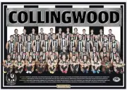 Collingwood magpies team Photo,AFL football,swans,PIEs ,blues books, swans