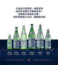 在飛比找Yahoo!奇摩拍賣優惠-現貨 S.Pellegrino 義大利聖沛黎洛 氣泡礦泉水 