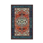 Catzon Boho Area Rug Non-Slip Backing Washable Indoor Carpet for Living Room-2