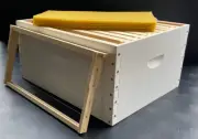 Brood/Super - 10 Frame|Painted|Assembled|Frames|Wax Foundation|ULTIMATE|Beehive
