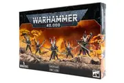Warhammer 40,000: Drukhari - Incubi