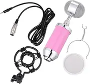 Vaguelly 1 Set Capacitor Microphone Mini Microphone Mini Small Microphones Condenser Microphone Live Broadcast Microphone