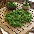 20g Artificial Green Moss Grass – Diy Mini Landscape Decoration for Home, Garden