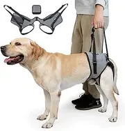 CNEO Dog Lift Sling for Medium Large Dogs - Adjustable Support Harness for Back Legs, Comfy Design with Padding for Elderly, Injured, Arthritic, Senior, Disabled Dogs