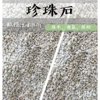 在飛比找蝦皮購物優惠-【蒔茪蔏行】珍珠石(真珠石)Perlite 1公升、4公升 