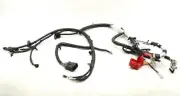 NEW Motorcraft Battery Cable Assembly WC-96790 Ford Edge 2.0 Ecoboost 2017-2018 (for: Ford)