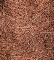 Pine Straw Mulch~ 300 Square Foot, Boxed & "Ready2Ship! West Virginia's Finest!