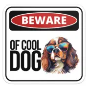 Cool Cavalier King Charles Spaniel Dog Beware Of Dog Decal Car Bumper Sticker