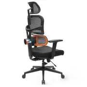 [Standard Version] NEWTRAL Ergonomic Office Chair High Back Desk Chair with Unique Adjustable Lumbar Support, Adjustable