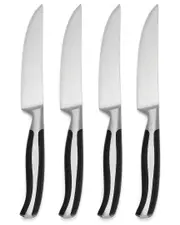 Oneida Contour 4-Piece Steak Knife Set