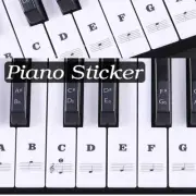 5x 88/61/54/49 TRANSPARENT Keyboard Piano Stickers KEYS Sticker Note For Learner