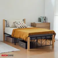 在飛比找momo購物網優惠-【RICHOME】瑞那3.5呎單人床/單人床架/鐵床/鐵管床