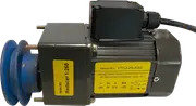 DIZZY LAMB 25W MOTOR WITH PULLEY (40 KGS CAPACITY) - MO23