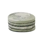 Wesley Resin Coaster Sage 10.5cm (Set of 4)