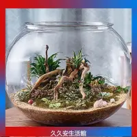 在飛比找蝦皮購物優惠-台灣出貨仿玻璃不怕摔 魚缸 PC透明亞克力 球形缸 金魚缸 