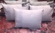 NWT Vera Wang Home Bedding Floral Freesia 12" x 16" Throw Pillows Taupe Blue