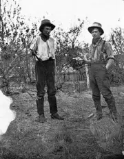 Sandford District Victoria 1915 - Two men, one pointing a hand gun- Old Photo