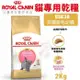 Royal Canin法國皇家 貓專用乾糧2Kg 英國短毛幼貓BSK38 貓糧 (8.3折)