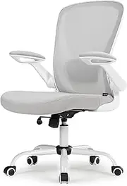 [EUREKA ERGONOMIC] Mesh Office Chair - Ergonomic Desk Chair with Adjustable Lumbar Support, Flip-Up Armrests, Breathable, BIFMA Passed (Gray)