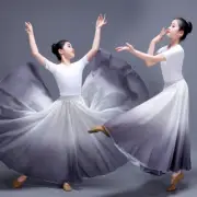 110-170cm Girls Elegant Gradient Ballet Skirt Chiffon Flowy Long Dancewear Dress