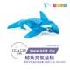【VENCEDOR】INTEX 鯨魚充氣坐騎 充氣浮排 浮床 游泳 戲水 58523NP