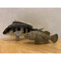 在飛比找蝦皮購物優惠-【牛哥釣具】石斑魚 模型。。。。。。石斑模型 黑鯛模型 黑格