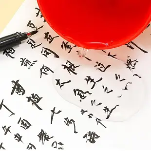 日本 ZEBRA 斑馬牌 秀麗筆 小楷 硬筆 書法 練字 極細 中楷 科學 仿毛筆 軟頭