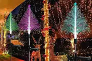 3Pcs Christmas Trees Lights Solar Fiber Optic Lights for Yard Garden Outdoor Decorations-Pentagram Christmas tree