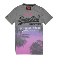 在飛比找Yahoo奇摩購物中心優惠-SUPERDRY 極度乾燥 男 T恤 灰色 1365