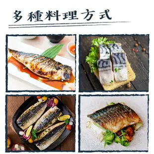 【賣魚的家】正宗肥美挪威鯖魚片10片組(200-220g/片)