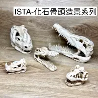 在飛比找蝦皮購物優惠-化石骨頭  ISTA 伊士達 恐龍頭 化石 骨頭 頭骨 恐龍