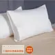 麗塔寢飾 全包式 枕頭保潔墊(2入) 100%防水透氣